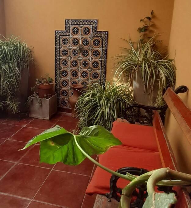 ¨Las Mayólicas¨ Hermoso Depto con patio español Mendoza Exterior foto